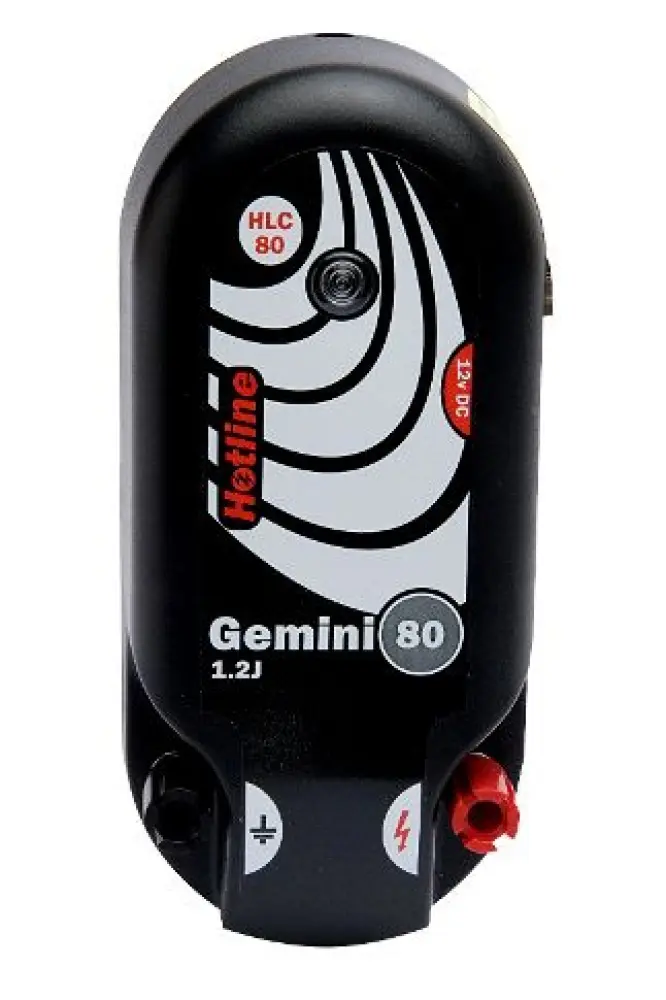 De betekenis en invloed van het sterrenbeeld Gemini
