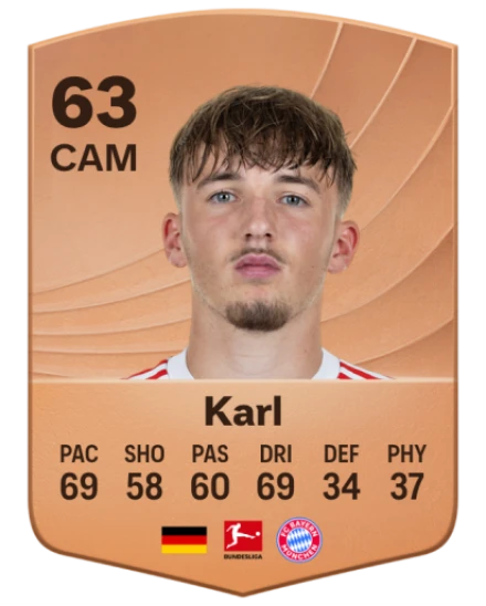 Het Leven en de Bijdragen van Lennart Karl