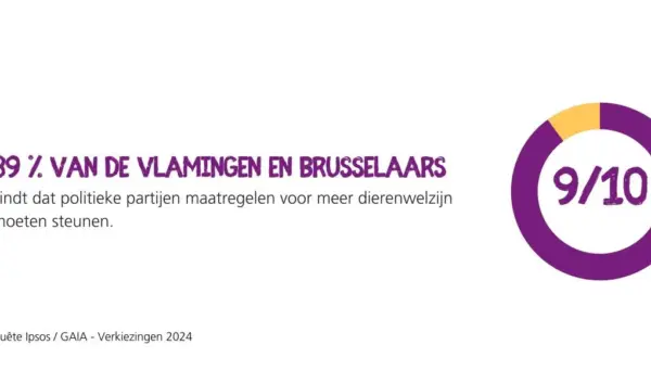 De Impact van Politieke Partijen op de Nederlandse Samenleving