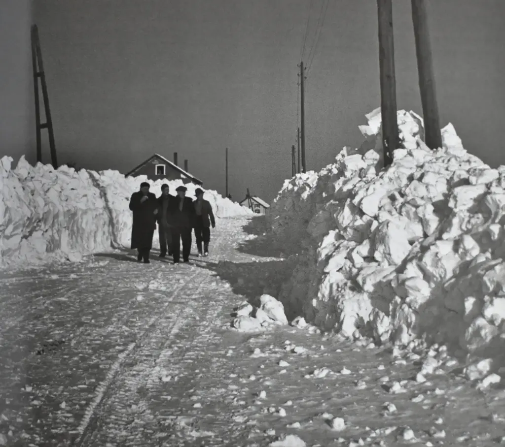 De Impact van Sneeuw op Nederland deze Winter