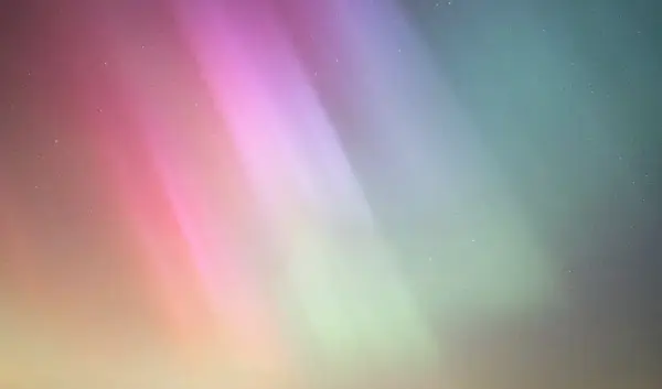 Noorderlicht Nederland: Een Blik op het Culturele Evenement