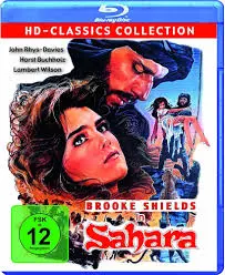 De Sahara: De Grootste Woestijn en Haar Betekenis