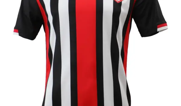 Samsunspor: De Opkomst van een Turkse Voetbalgigant