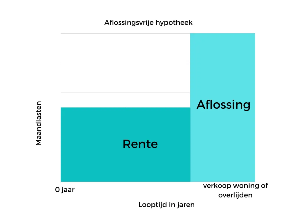 De Aflossingsvrije Hypotheek bij Rabobank: Wat U Moet Weten