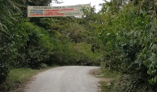 Ecuador: Een Kijk op Cultuur, Natuur en Huidige Ontwikkelingen