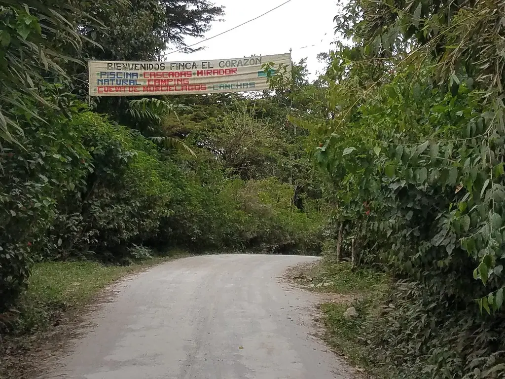 Ecuador: Een Kijk op Cultuur, Natuur en Huidige Ontwikkelingen