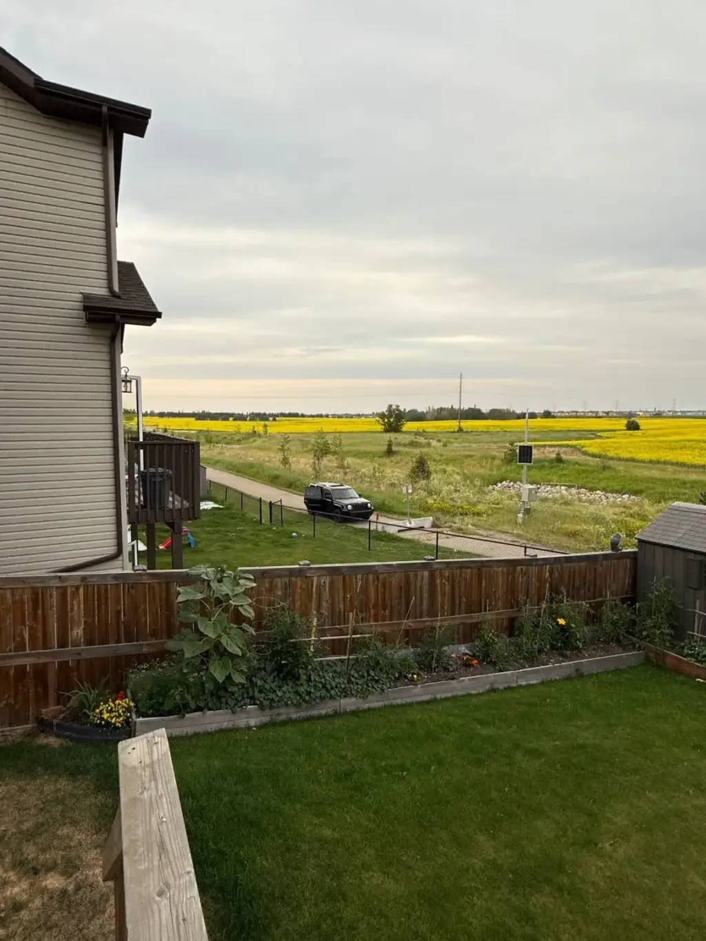 Edmonton: Een Blik op de Ontwikkeling van de Stad