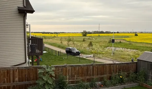 Edmonton: Een Blik op de Ontwikkeling van de Stad