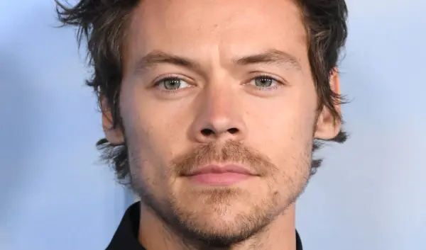 De Impact van Harry Styles op de Popmuziek