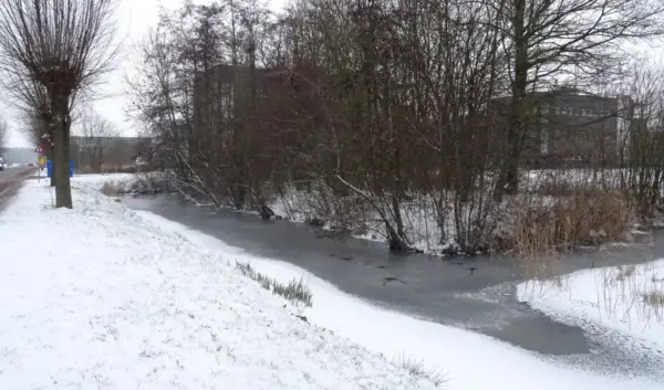 KNMI Sneeuw: Verwachtingen en Effecten op Nederland