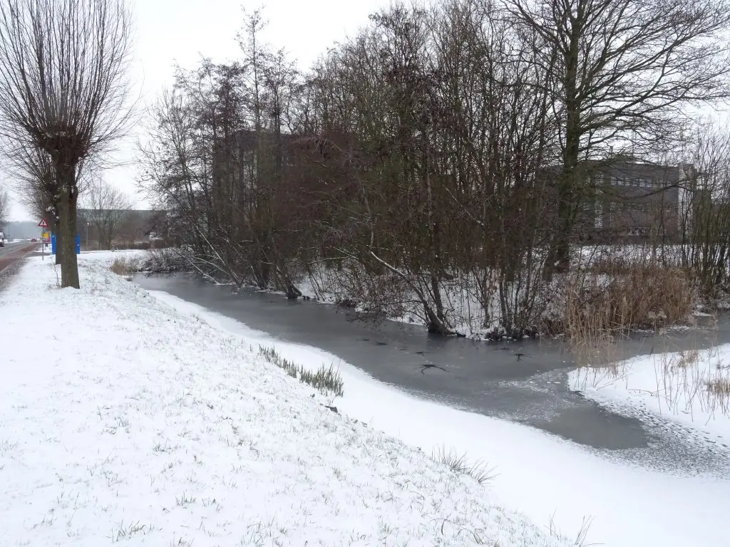 KNMI Sneeuw: Verwachtingen en Effecten op Nederland