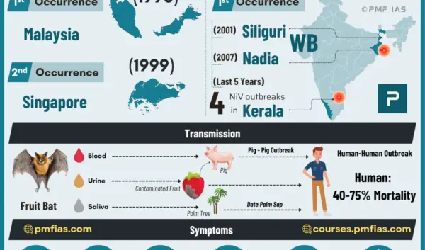 Nipah Virus in India: Wat je Moet Weten