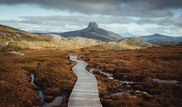 Tasmanië: Een Paradijs van Natuur en Cultuur
