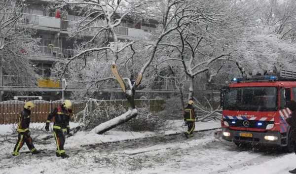 Wat te Verwachten van het Winterweer in Nederland