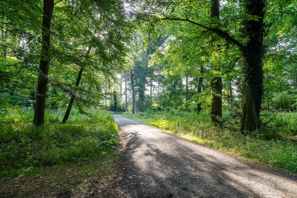 De 4daagse van Nijmegen: Een Uniek Wandelspektakel
