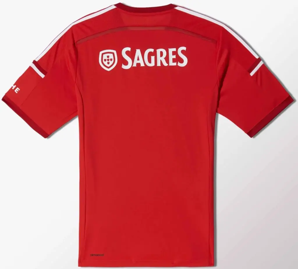 De Geschiedenis en Huidige Status van Benfica