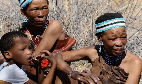 Verkenning van Botswana: Cultuur en Natuur