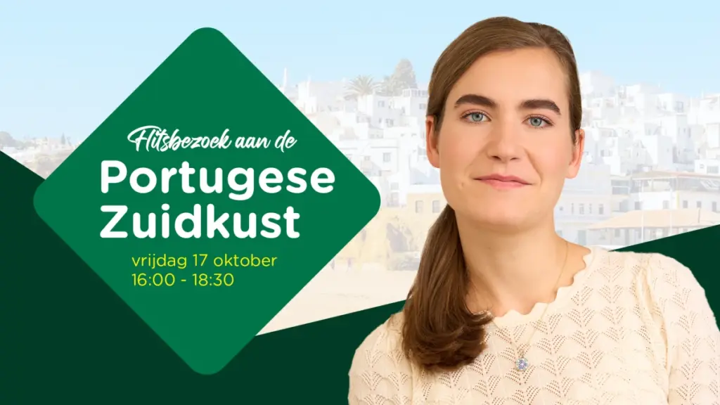 De Betekenis van Cartoon Lidewij de Vos