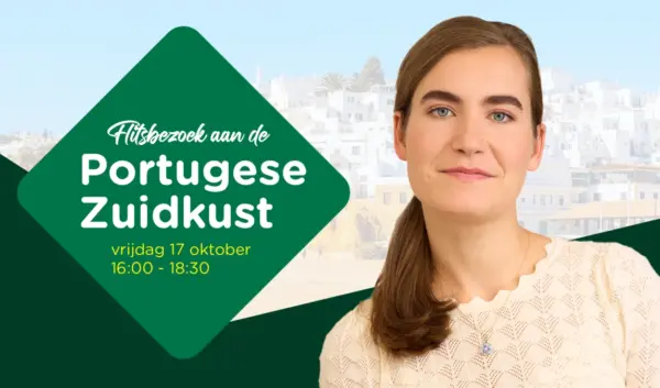 De Betekenis van Cartoon Lidewij de Vos
