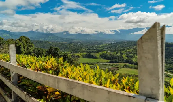 Waarom Costa Rica een Must-Visit Bestemming is
