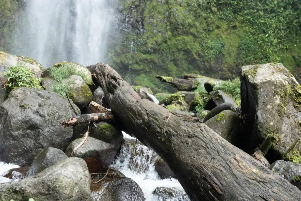 Waarom Costa Rica de Ideale Bestemming is voor Ecotoeristen