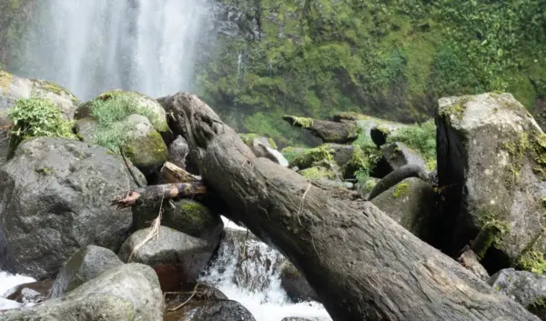 Waarom Costa Rica de Ideale Bestemming is voor Ecotoeristen