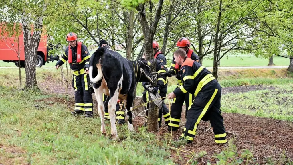 Actueel Over Gaslek in Den Haag