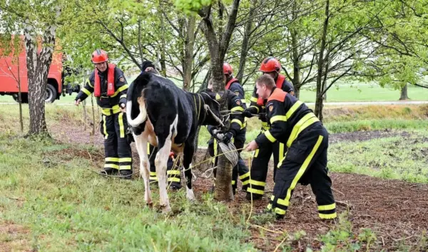 Actueel Over Gaslek in Den Haag