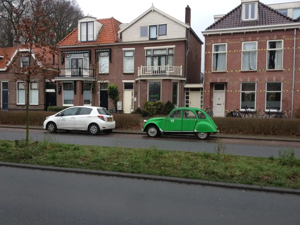 Gordelroos Vaccinatie: Wat je Moet Weten