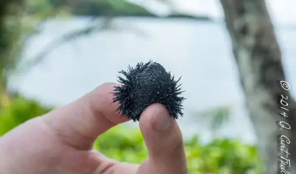 Verkenning van Guam: Cultuur, Natuur en Avontuur