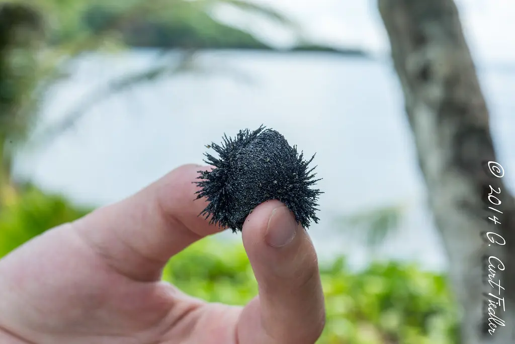 Verkenning van Guam: Cultuur, Natuur en Avontuur