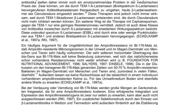 Wat is de Leerling Examen Commissie (LEC) en waarom is het belangrijk?