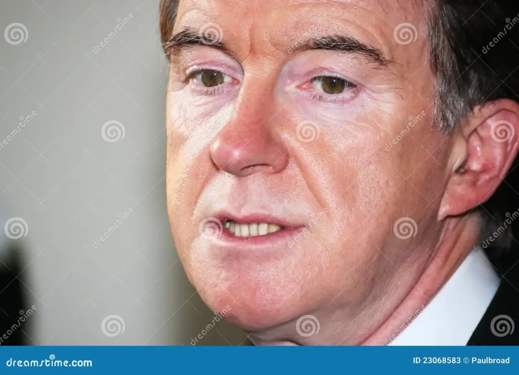 Lord Mandelson: Een Sleutelrol in de Britse Politiek
