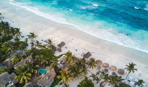 mexico reisadvies — NL news