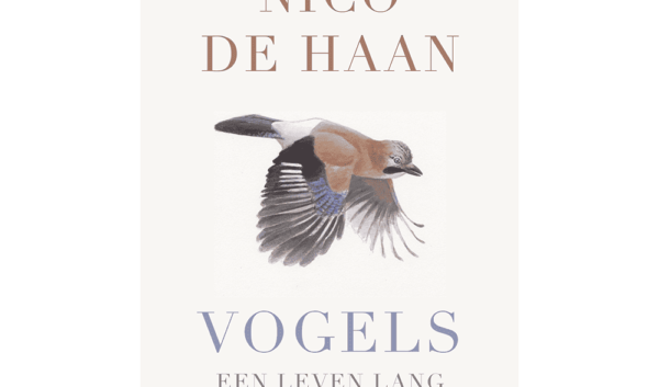 Nico de Haan: Een Blik op de Invloedrijke Persoonlijkheid