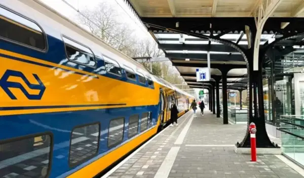 ns — NL news