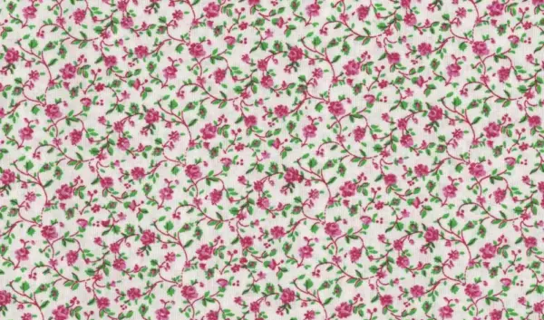 De Sociale Impact van de Kleur Roze