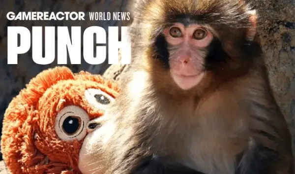 punch the monkey — NL news
