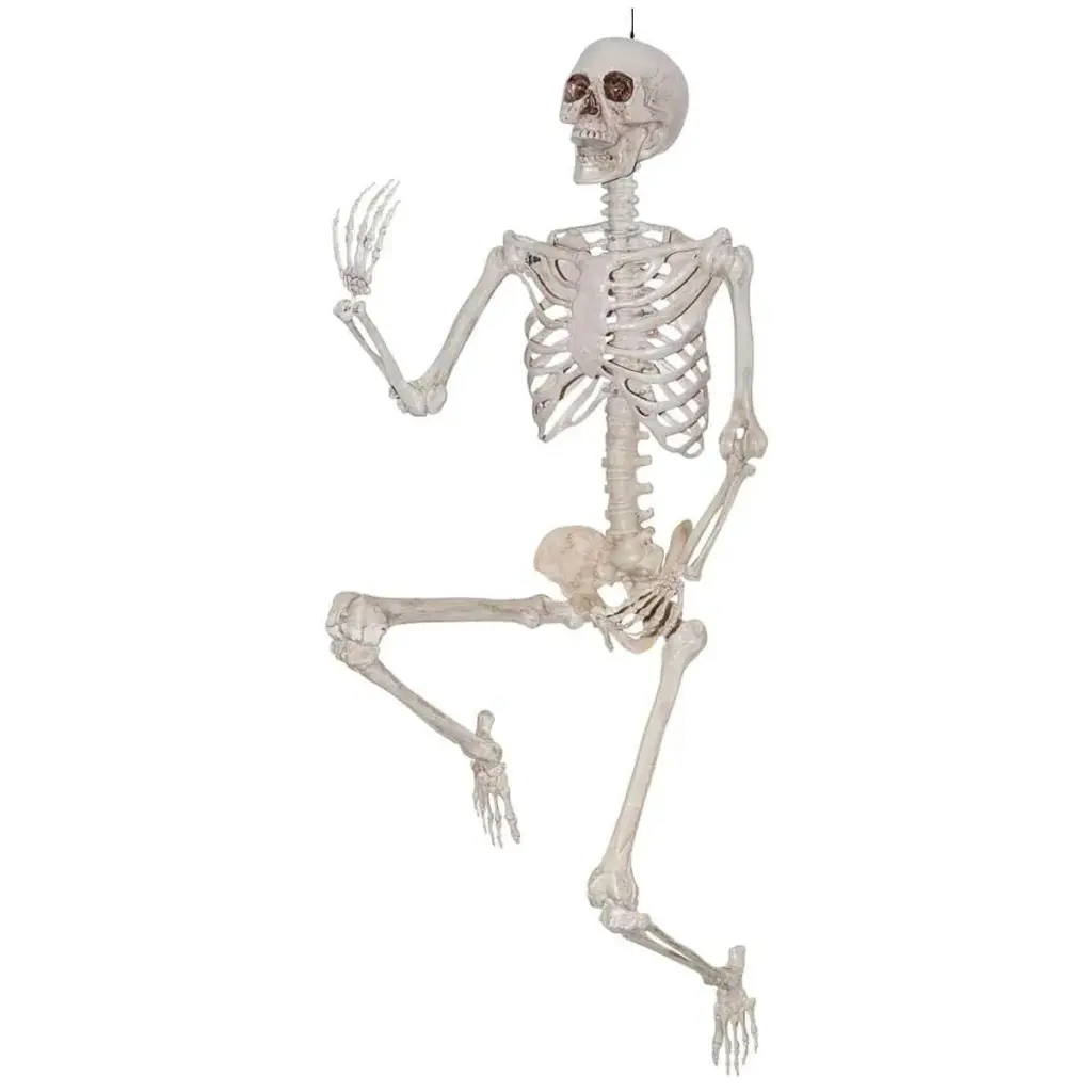 Het Belang van Skelet Onderzoek in de Geneeskunde