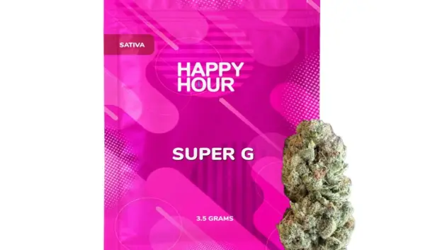 Wat is Super G? Een Kijk op deze Opwindende Skidsdiscipline