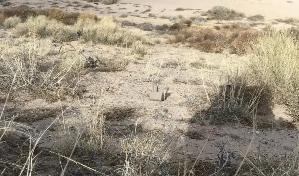 De Onvergetelijke Carrière van Tom Hanks