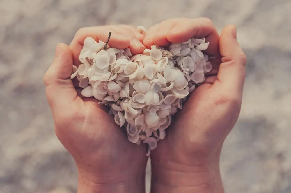 Valentijnsdag: Een Viering van Liefde en Romance