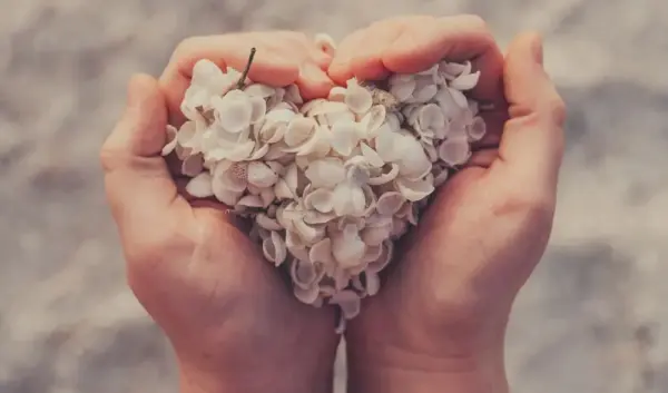 Valentijnsdag: Een Viering van Liefde en Romantiek