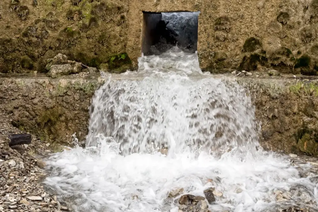 Waternet Poepbacterie: Impact en Gezondheidsrisico’s