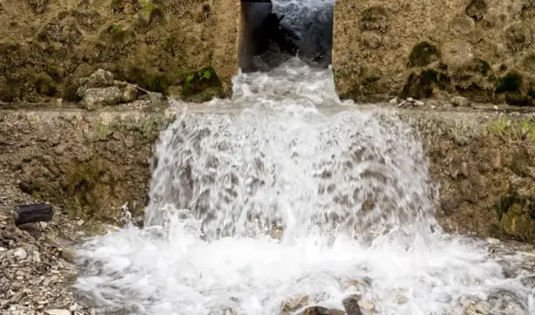 Waternet Poepbacterie: Impact en Gezondheidsrisico’s