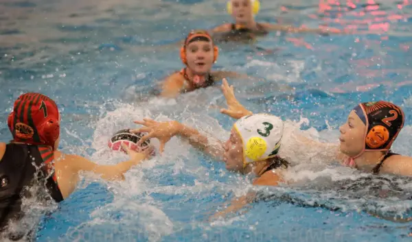 De Groei en Impact van Waterpolo Dames in 2023