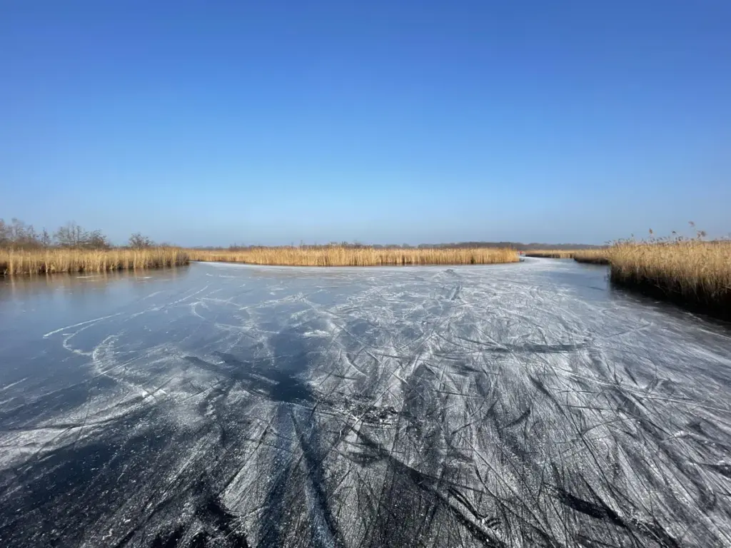 Zonovergoten dag in Nederland: weer vandaag met lente-achtige temperaturen