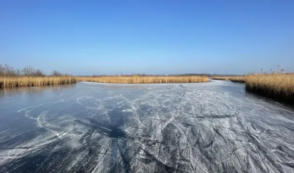 weer vandaag — NL news