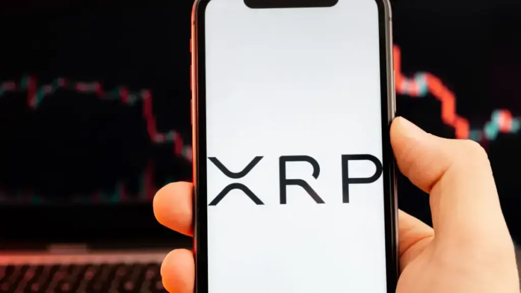 De xrp koers blijft dalen, maar netwerkactiviteit stijgt: wat betekent dit?
