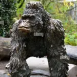 De Gorilla’s van Zoo Antwerpen: Een Blik op Natuurbehoud